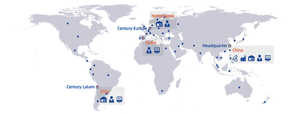 ตลาดโกบาลศตวรรษ
